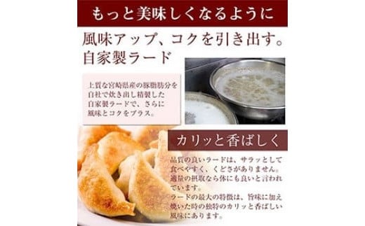 【宮崎空港で大人気!】＜馬渡のもっちり餃子160個＞翌月末迄に順次出荷 餃子の馬渡 ぎょうざ ギョーザ ギョウザ 焼餃子 宮崎餃子 グルメ 国産 特産品 たかなべ 宮崎県 高鍋町 冷凍