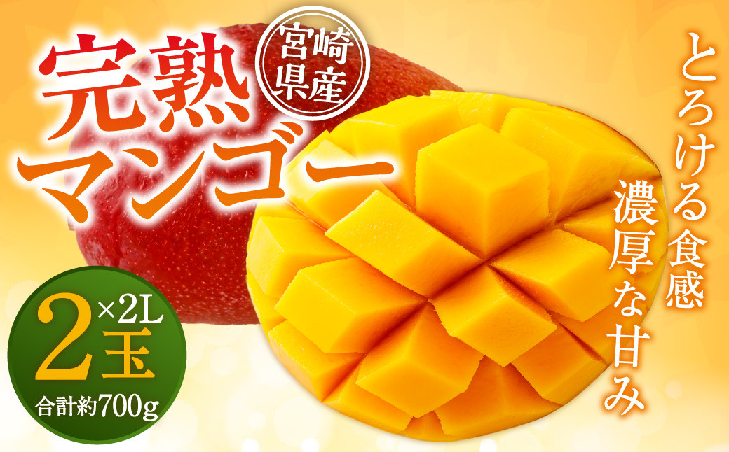 ＜宮崎県産 完熟マンゴー 2L×2玉＞ ※2024年5月上旬〜7月中旬迄に順次出荷します。 フルーツ 果物 くだもの 