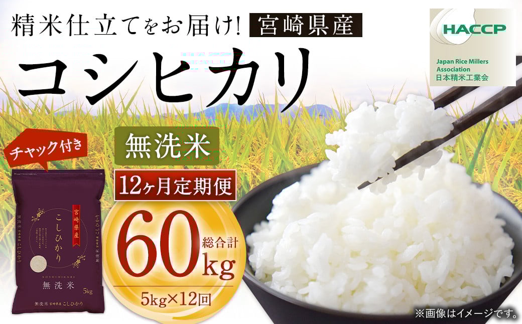 【12か月定期便】＜令和7年産 宮崎県産コシヒカリ （無洗米） 5kg チャック付き米袋 12か月定期便＞お申込みの翌月下旬に第1回目を発送 こしひかり コシヒカリ お米 米 コメ 国産 定期便