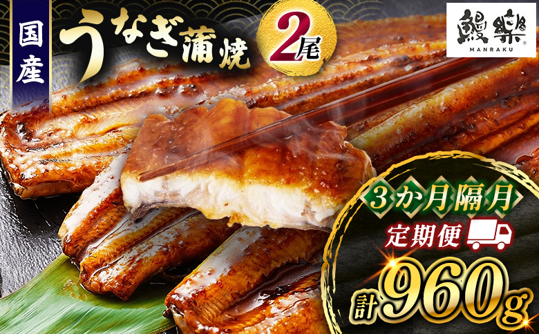 うなぎ 蒲焼 定期便 ＜計3回＞ 鰻 2尾 （計960g） 国産 ウナギ 3か月 隔月 人気 ギフト 贈答品 おすすめ 小分け 宮崎県 高鍋町 名物