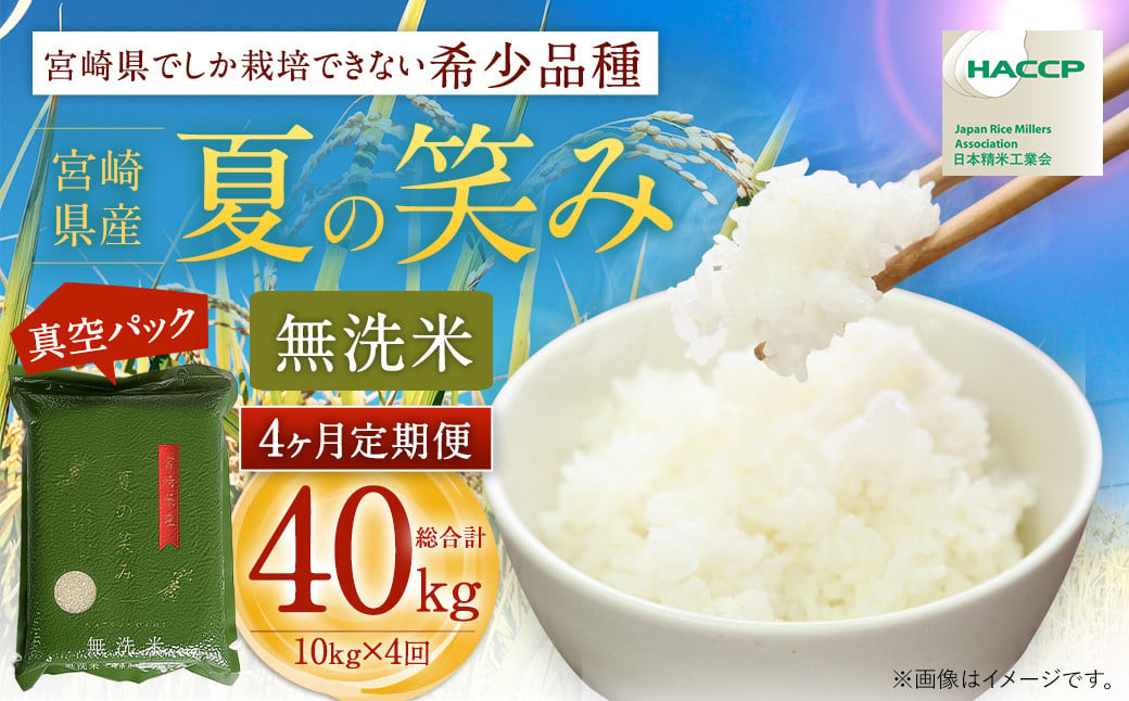 ＜【4ヶ月定期便】令和6年産 宮崎県産 夏の笑み（無洗米）2kg×5袋 計10kg（真空パック）＞お申込みの翌月中旬以降に第1回目発送（8月は下旬頃） 米 夏の笑み 無洗米 精米 希少 品種 白米 お米 ご飯 宮崎県産