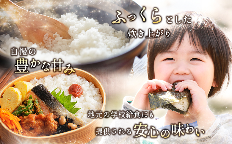 数量限定 米 訳あり 国産 夏の笑み 事業者支援 お米 無洗米 人気 家庭用 業務用 ご飯 おかず 弁当