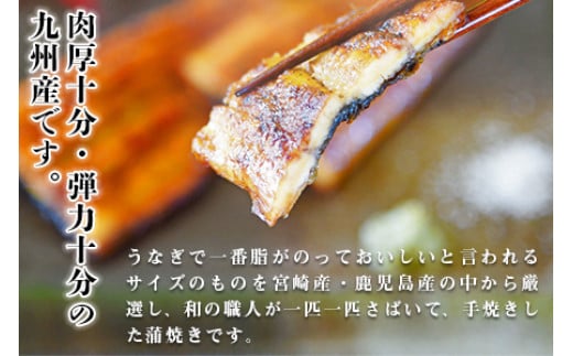 ＜職人手焼き九州産うなぎ 蒲焼き3尾（6切れ）計390g前後＞翌月末迄に順次出荷