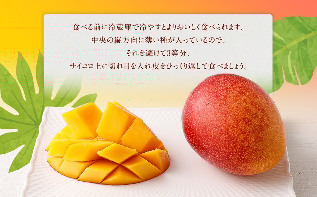 ＜宮崎県 完熟マンゴー4L×2玉 1kg＞2026年4月上旬～7月上旬までに順次出荷 マンゴー 完熟 果物 くだもの フルーツ 高鍋町