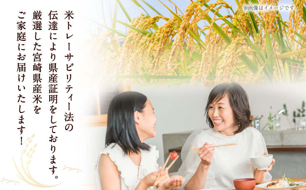＜宮崎県産米 ふる里からの贈り物 5kg×1袋＞発送準備が整い次第順次発送予定 米 お米 ご飯 ごはん こめ コメ 白米 精米 宮崎県産 国産 10割 5kg 1袋 宮崎県 高鍋町
