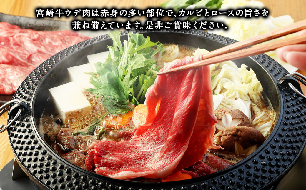 ＜宮崎牛 ウデ スライス 500g＞翌月末迄に順次出荷 牛肉 和牛 黒毛和牛 4等級以上 ブランド牛 肉 宮崎牛 ウデ肉 ウデ すき焼き