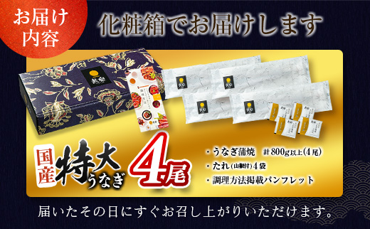 ［2週間以内に出荷!!］特大 うなぎ 鰻楽 国産 蒲焼 4尾 計800g以上 無頭 おすすめ 冷凍 簡単調理 個包装 鰻 贈答品 ギフト【C388-800-2w】
