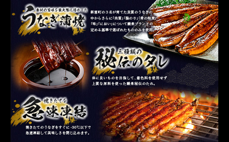 ［2026年8月お届け］うなぎ 鰻楽 国産 蒲焼 3尾 人気 無頭 計480g以上 贈答品 ギフト【C444-2608】