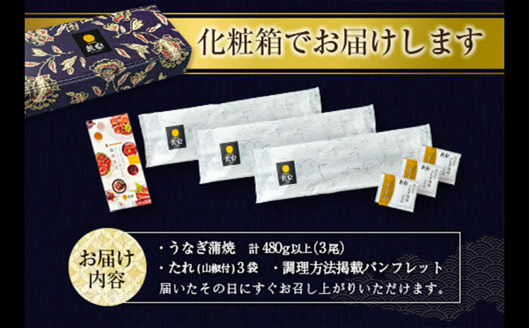 ［2026年8月お届け］うなぎ 鰻楽 国産 蒲焼 3尾 人気 無頭 計480g以上 贈答品 ギフト【C444-2608】
