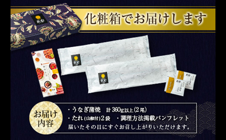 ［2026年1月お届け］うなぎ 鰻楽 国産 蒲焼 2尾 人気 無頭 計360g以上 贈答品 ギフト【B555-2601】
