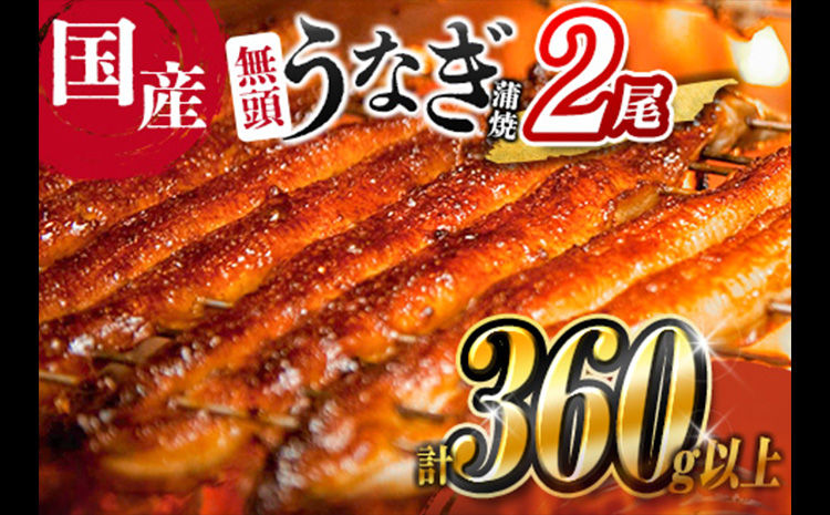 ［2026年9月お届け］うなぎ 鰻楽 国産 蒲焼 2尾 人気 無頭 計360g以上 贈答品 ギフト【B555-2609】