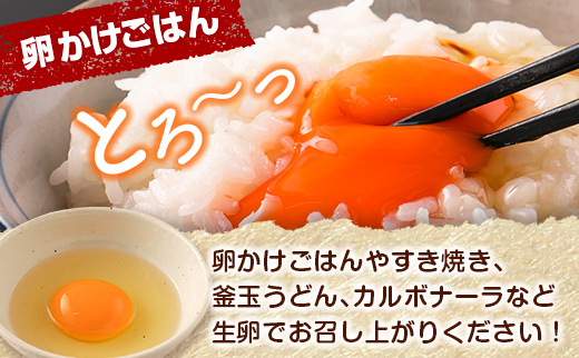 新鮮 たまご 30個×3か月 定期便 児湯の赤卵 小分け 3パック 卵 鶏卵 玉子 たまごかけご飯 お取り寄せ 小分け 生卵 濃厚 玉子（※2026年9月、10月、11月配送）【C464-091011】