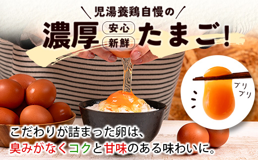 新鮮 たまご 30個×3か月 定期便 児湯の赤卵 小分け 3パック 卵 鶏卵 玉子 たまごかけご飯 お取り寄せ 小分け 生卵 濃厚 玉子（※2026年9月、10月、11月配送）【C464-091011】