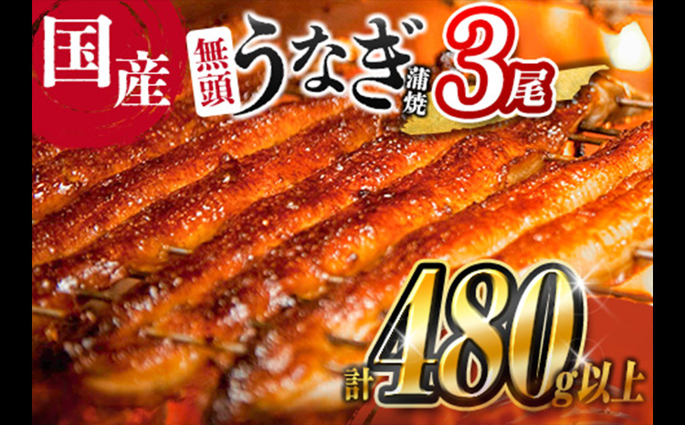 ［2026年1月お届け］うなぎ 鰻楽 国産 蒲焼 3尾 人気 無頭 計480g以上 贈答品 ギフト【C444-2601】