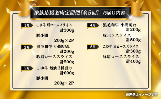 ＜年末年始限定!!＞数量限定 牛肉&豚肉 お肉定期便 家庭応援［全5回］連続（1月～5月）おすすめ 人気 こま肉 豚バラ 詰め合わせ しゃぶしゃぶ すき焼き 焼肉 数量限定 期間限定 2026年1月5日までの限定！【E254】