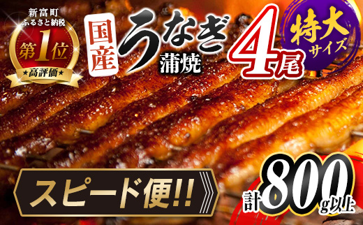 スピード便！3営業日以内に出荷!!特大 国産 うなぎ 蒲焼 4尾 計800g以上 鰻楽 無頭 おすすめ 簡単調理 個包装 鰻 贈答品 ギフト スピード便【C388-800-3D】