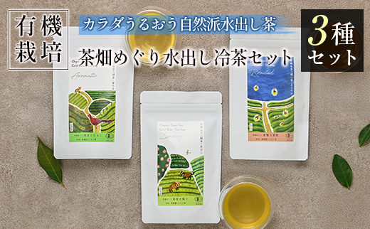 ＜有機栽培＞茶畑めぐり水出し冷茶 3種セット カラダうるおう自然派水出し茶 国産 日本茶 飲み比べ コールドブリュー オーガニック 水出し茶 有機JAS認証圃場 豊緑園【B681】