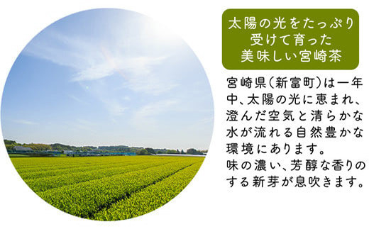 ［宮崎日本茶専門店］ひなたのティーbag（個包装50p入り）【B526】