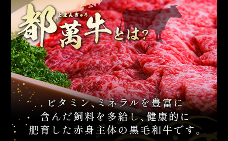 赤身主体の黒毛和牛＜都萬牛＞焼肉セット 300g【B575】