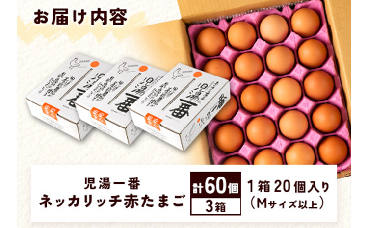 ＜児湯養鶏自慢の卵 ＞ネッカリッチ赤たまご「児湯一番」計60個（20個入×3箱）【B23】