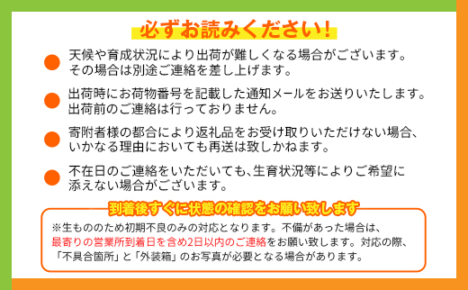 å®®åŽç¹ç£ã倪éœã®ã¿ããŽ2LÃ2çããå±ãå®æäŸ¿ïŒå
š3åïŒèš6ç ç¹ç£ åœç£ æç© ãã«ãŒã æ¬ ç£å°çŽéãF145-26ã