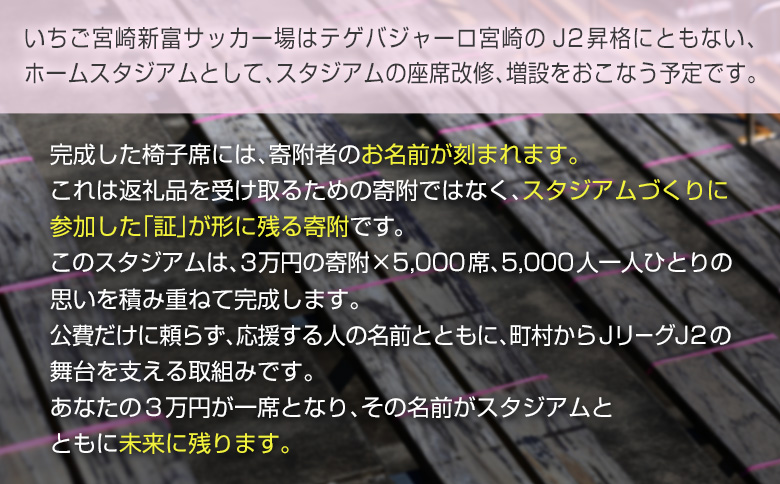 ＜寄附のみ＞ 返礼品なし いちご宮崎新富サッカー場 改修整備 1口 30,000円 J2昇格 テゲバジャーロ宮崎 サッカー Jリーグ J2 スポーツ 社会貢献 地域活動 応援寄附 ファン サポーター