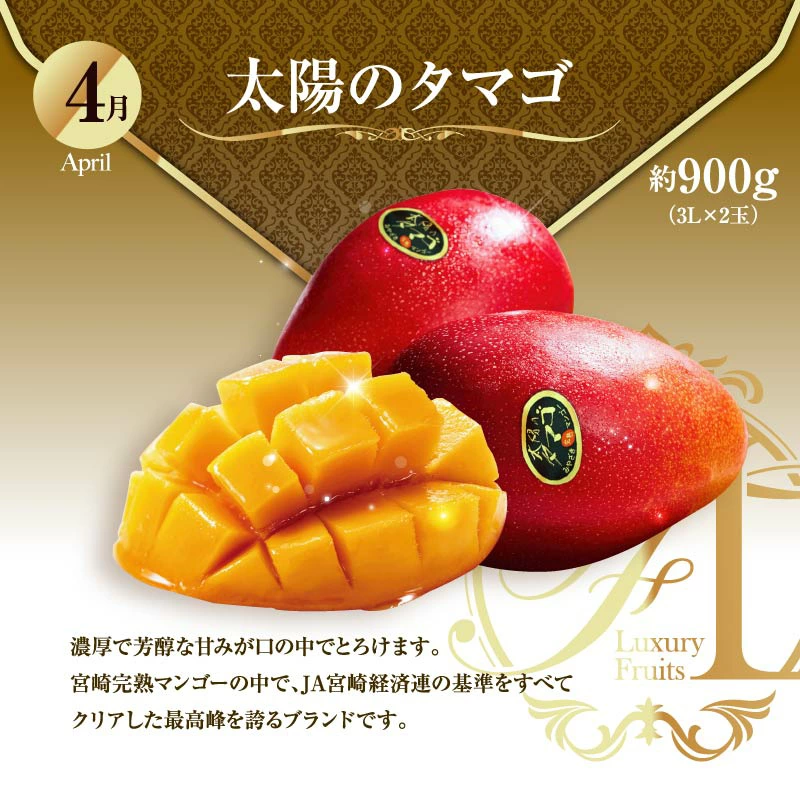 【ふるさと納税】旬のくだもの定期便 「極上コース」 全12回 マンゴー いちご マスカット 国産 宮崎【G53】