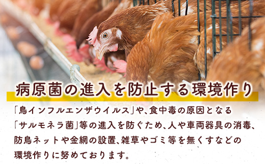 æ°é®® ããŸã 30åÃ3ãæ å®æäŸ¿ å
湯ã®èµ€åµ å°åã 3ããã¯ åµ é¶åµ çå ããŸãããã飯 ãåãå¯ã å°åã çåµ æ¿å çåïŒâ»2026幎3æã4æã5æé
éïŒãC464-030405ã