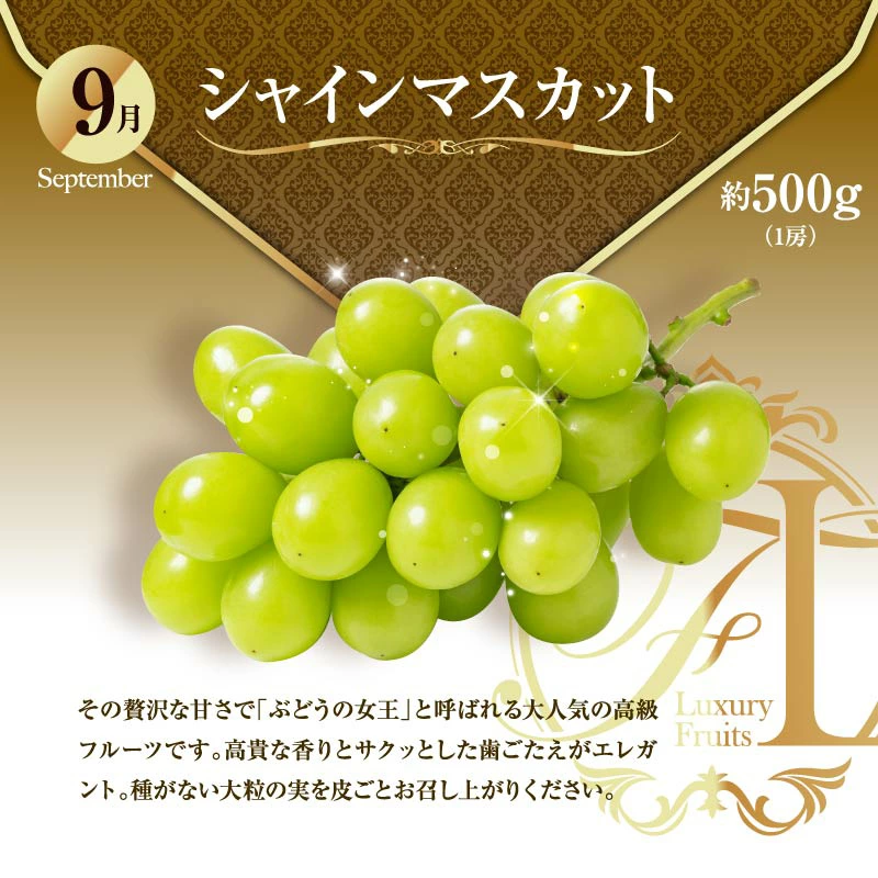 【ふるさと納税】旬のくだもの定期便 全12回 マンゴー いちご マスカット 国産 宮崎【F152】