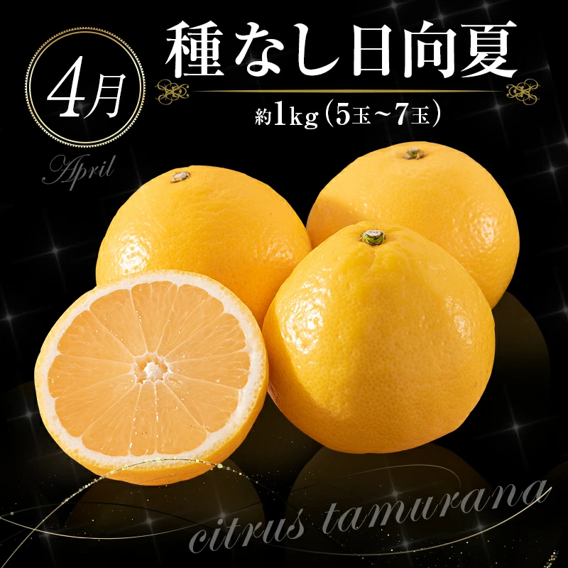 ããµãããšçŽçšãååœå®®åŽ æ¬ã®ãã ãã®å®æäŸ¿ 12ãæã³ãŒã¹ãF83-25ã