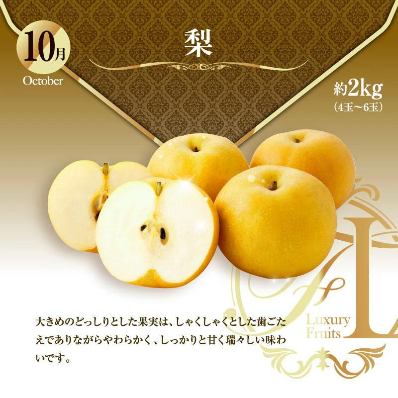 ããµãããšçŽçšãæ¬ã®ãã ãã®å®æäŸ¿ ãå³éžã³ãŒã¹ã å
š12å ãã³ãŽãŒ ãã¡ã ãã¹ã«ãã åœç£ å®®åŽ