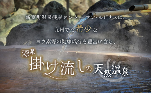源泉掛け流し 天然温泉［サン・ルピナス］温泉チケット11枚 新富町温泉健康センター 入浴券 無期限 温泉利用券【C454】