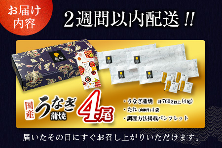 ［2週間以内に出荷］特大 うなぎ 鰻楽 国産 蒲焼 4尾 無頭 計760g以上 おすすめ 贈答品 ギフト 贈り物【C388-760-2W】