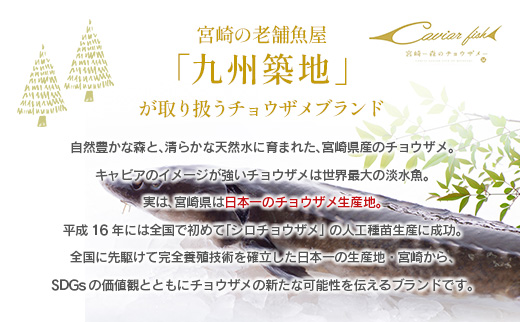 ãã§ãŠã¶ã¡ã®åã身70gÃ8ããã¯ã»ãã éä» ç空ãã㯠ã«ããæžã¿ åœç£ å身 å®®åŽçãB687ã