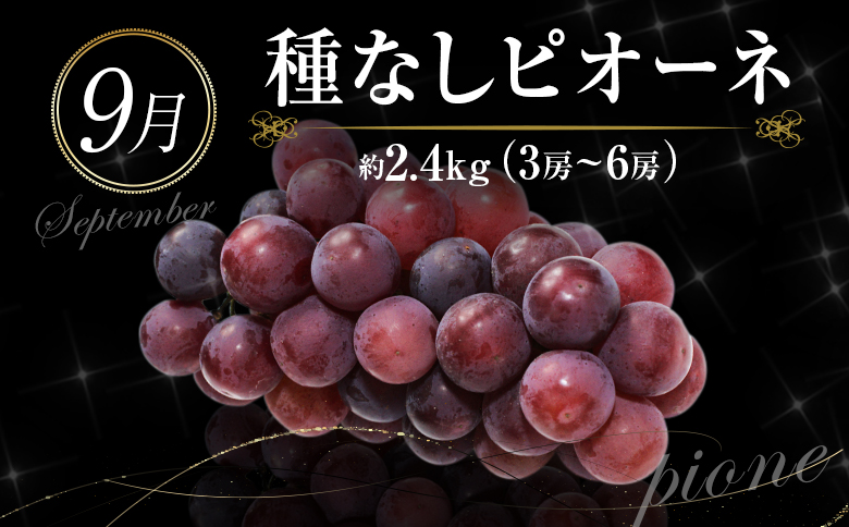 ååœå®®åŽ æ¬ã®ãè³é«ããã«ãŒãå®æäŸ¿ 奿°æã³ãŒã¹ïŒèš6åïŒãF95-24ã