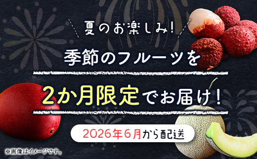 ãµããŒãã«ãŒãå®æäŸ¿ å
š2å ïŒã¡ãã³ã»ãã³ãŽãŒïŒã©ã€ãïŒâ»2026幎6æéå§ æ¬ æç©ãE242ã