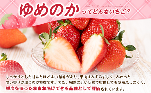 ＜2週間以内出荷!!＞宮崎県産 いちご「ゆめのか」計1kg（250g×4パック）フルーツ 期間限定 デザート【B701】