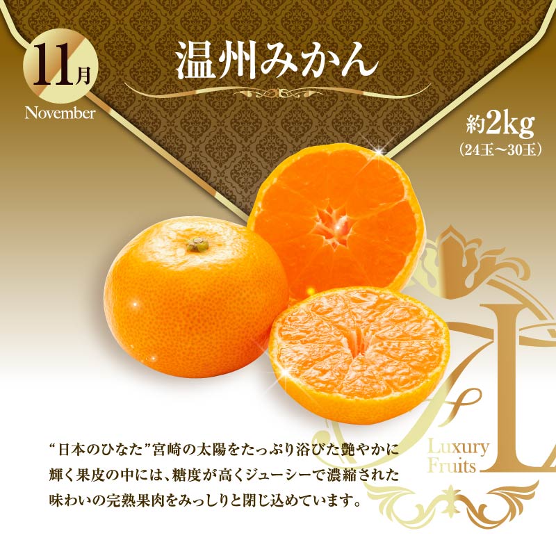 ããµãããšçŽçšãæ¬ã®ãã ãã®å®æäŸ¿ ãå³éžã³ãŒã¹ã å
š12å ãã³ãŽãŒ ãã¡ã ãã¹ã«ãã åœç£ å®®åŽ