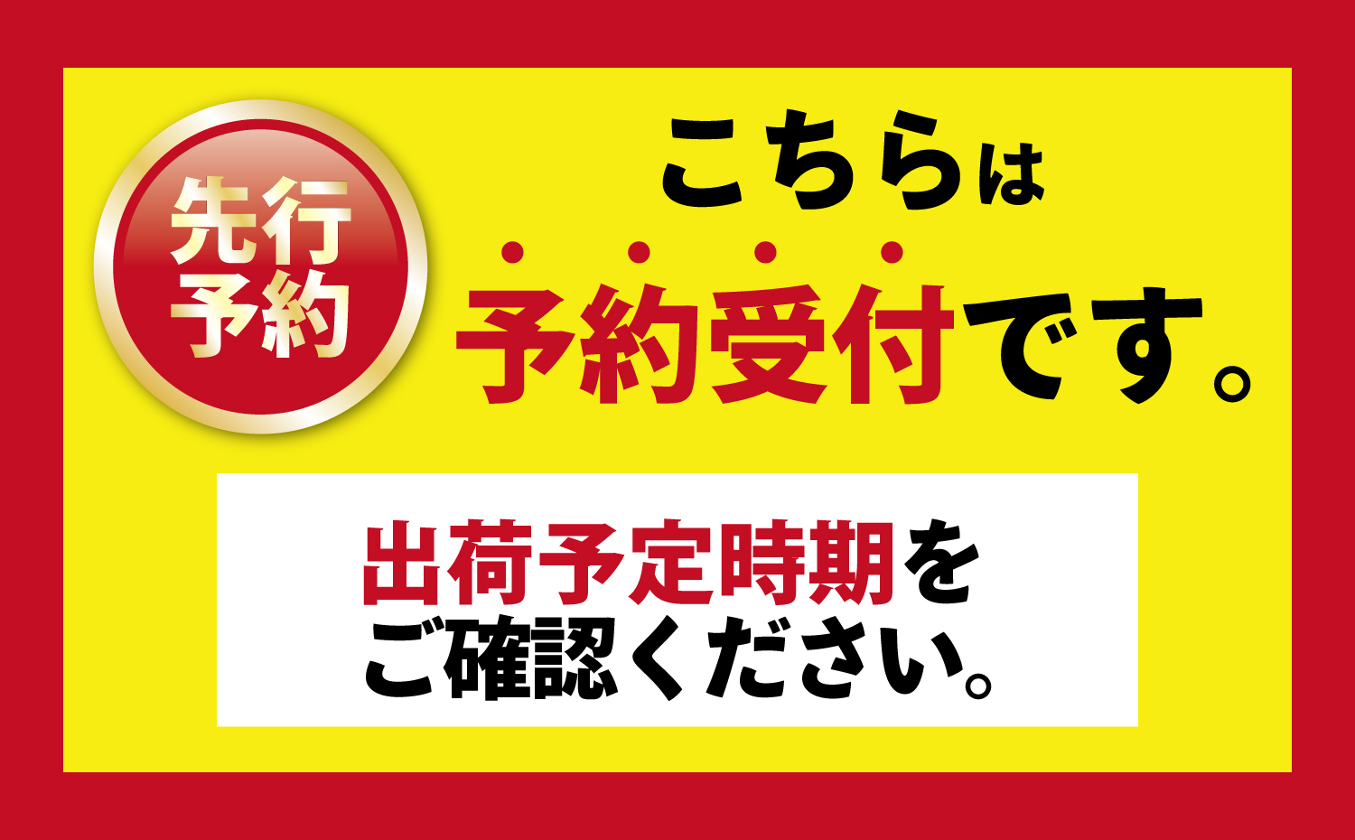 《先行予約》希少！国産＜新富ライチ＞40g前後×10玉 国産 ブランド フルーツ 果物 贈答品【B120-2026】