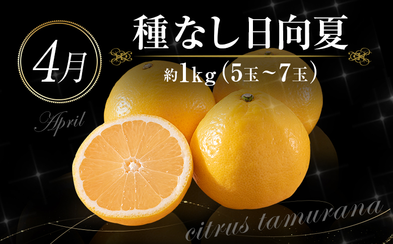 èš6åååœå®®åŽ æ¬ã®ãã«ãŒãå®æäŸ¿ å¶æ°æã³ãŒã¹ãE144-24ã