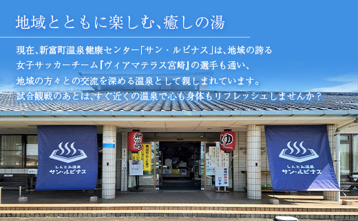 源泉掛け流し 天然温泉［サン・ルピナス］温泉チケット11枚 新富町温泉健康センター 入浴券 無期限 温泉利用券【C454】