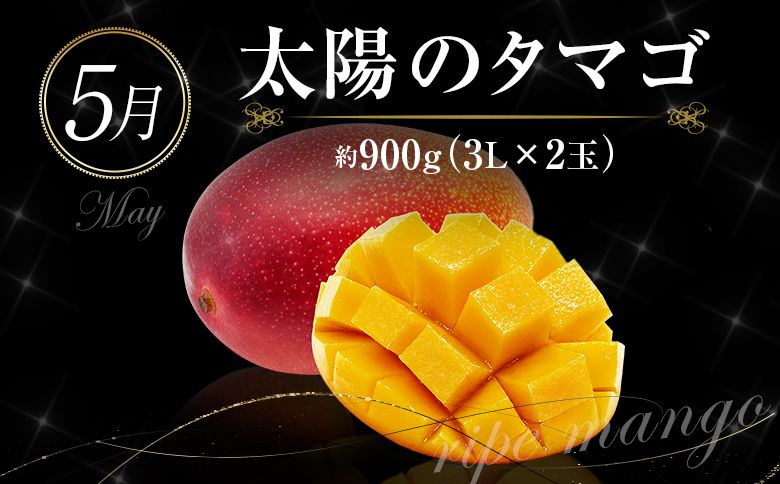 ååœå®®åŽ æ¬ã®ãè³é«ããã«ãŒãå®æäŸ¿ 奿°æã³ãŒã¹ïŒèš6åïŒãF95-24ã