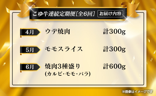 ＜年末年始限定!!＞厳選 黒毛和牛 お肉定期便 ［全6回］ 連続（1月〜6月） 国産 牛肉 カルビ ステーキ ロース バラ モモ スライス 焼肉 しゃぶしゃぶ すき焼き 宮崎 数量限定 期間限定 2026年1月5日までの限定！【E255】