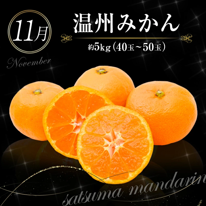 【ふるさと納税】南国宮崎 大人気フルーツ定期便（年4回）【E150】