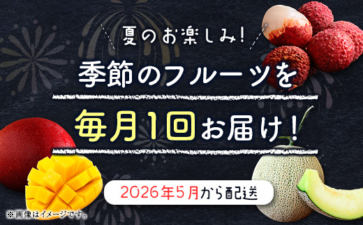 サマーフルーツ定期便 全3回＜メロン・マンゴー・ライチ＞ ※2026年5月開始 旬 果物【E244】