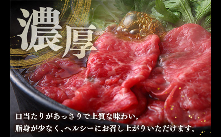 ＜黒毛和牛ひなた＞モモスライス 計500g※30日以内に発送【B385】