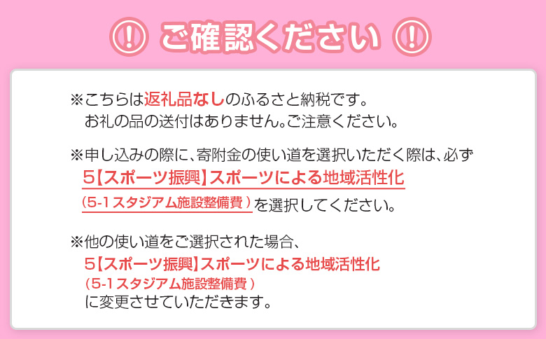 ＜寄附のみ＞ 返礼品なし いちご宮崎新富サッカー場 改修整備 1口 30,000円 J2昇格 テゲバジャーロ宮崎 サッカー Jリーグ J2 スポーツ 社会貢献 地域活動 応援寄附 ファン サポーター