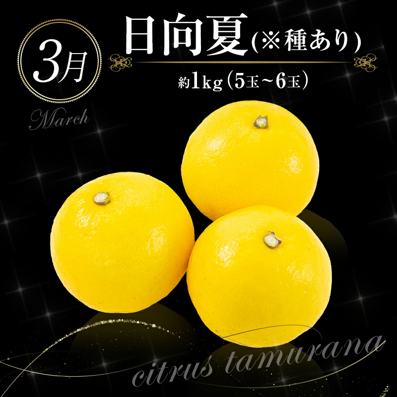 ããµãããšçŽçšãååœå®®åŽ æ¬ã®ãã ãã®å®æäŸ¿ 12ãæã³ãŒã¹ãF83-25ã