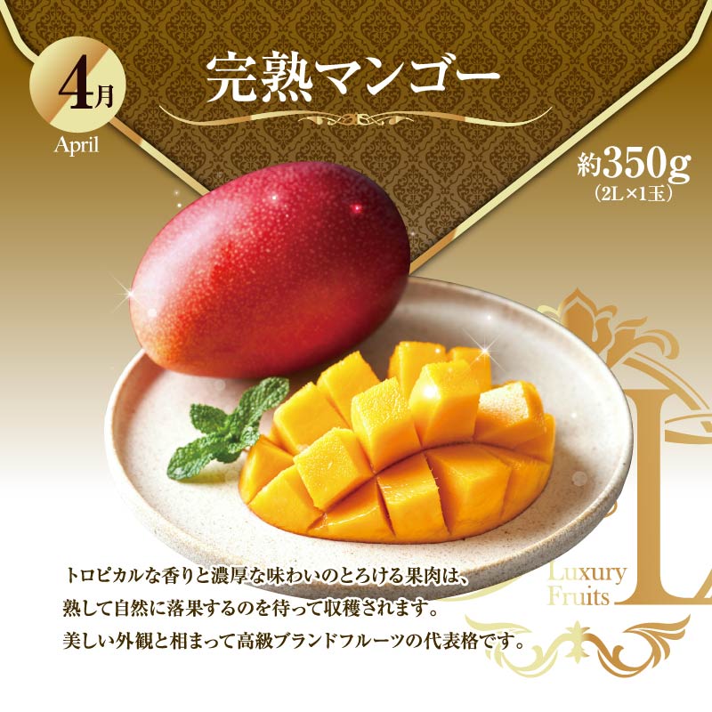 ããµãããšçŽçšãæ¬ã®ãã ãã®å®æäŸ¿ ãå³éžã³ãŒã¹ã å
š12å ãã³ãŽãŒ ãã¡ã ãã¹ã«ãã åœç£ å®®åŽ