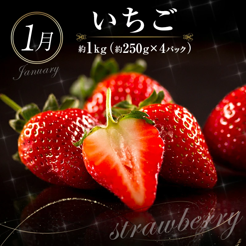 【ふるさと納税】南国宮崎 大人気フルーツ定期便（年4回）【E150】